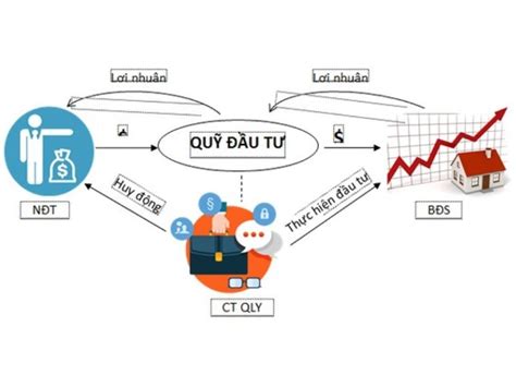equity stake là gì|EQUITY STAKES Tiếng việt là gì .
